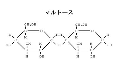 二糖類 マルトース スクロース ラクトース の構造と性質