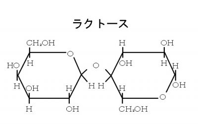二糖類 マルトース スクロース ラクトース の構造と性質